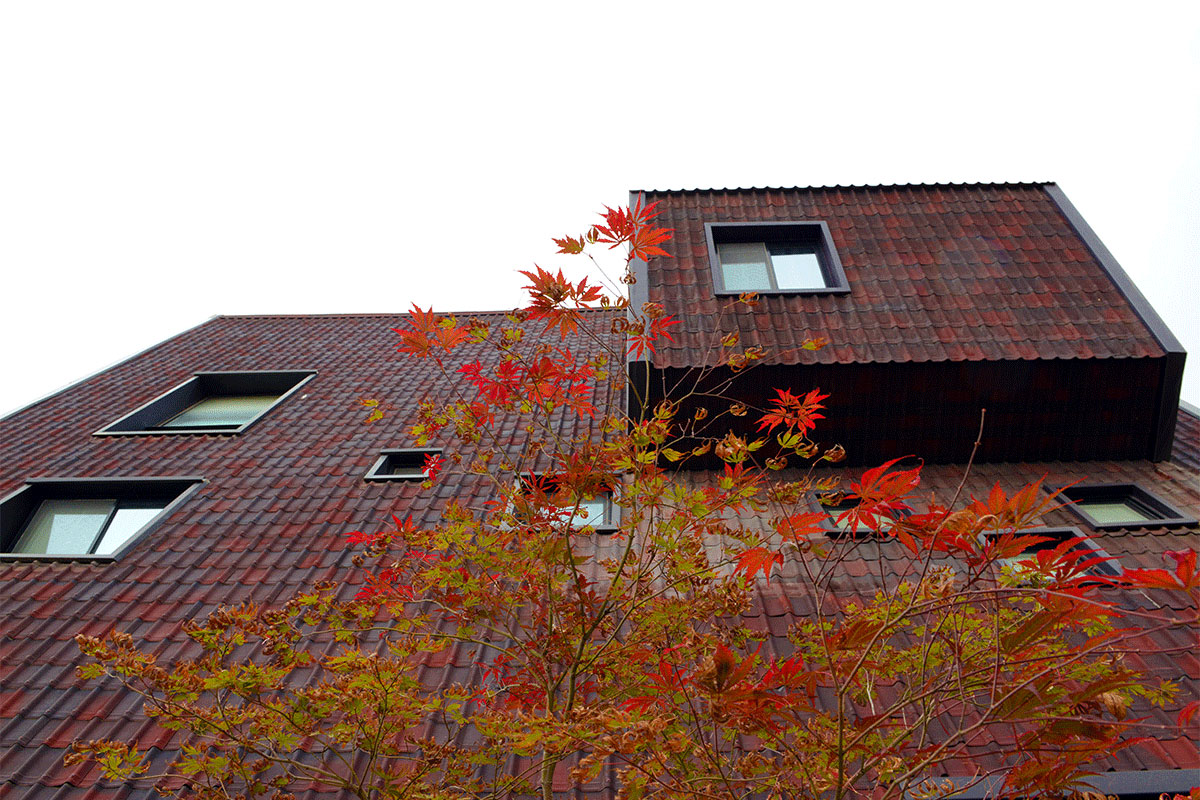 Kelardasht House — 6